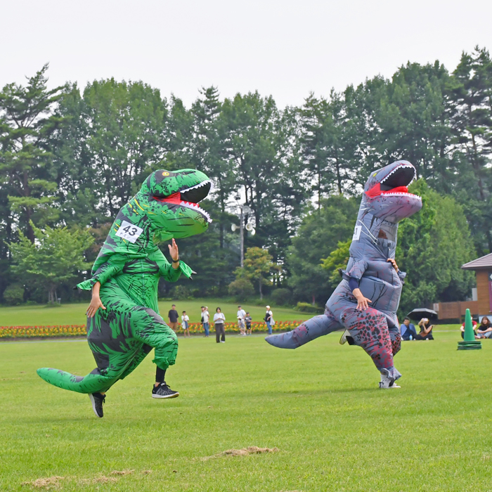 Tyrannosaurus Race in Koiwai Farm